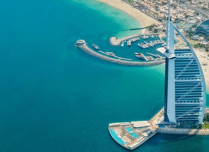 UAE Gaza Aid Platform