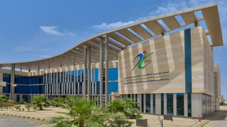 Saudi Arabia pharmacy fines