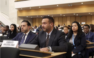 UAE Sudan Accusations